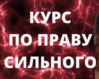 По праву сильного [Ольга Ломша]